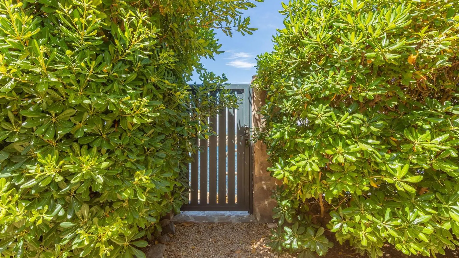 Unique Maison Pieds Dans L'Eau Frejus Apartment